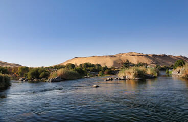 bank of nile river in a beautiful sunny spring day