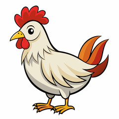 rooster isolated on white