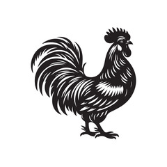 Realistic Chicken Drawing - Vector Outline on White Background.