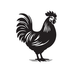 Outline Drawing of Chicken - Vector Style on White Background.