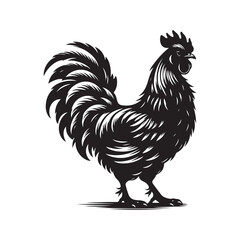 Vector Chicken Outline - Realistic Line Art on White.