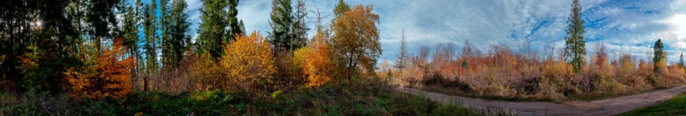 Panoramic nature landscape, soft pastel colors, dream nature, sunset autumn background, peaceful amazing nature panorama