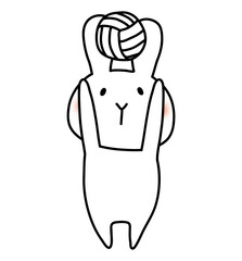 バレーをする白いうさぎ4