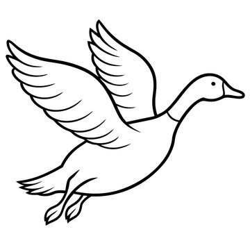 recommend clip art: Flying Duck Line Art Vector.