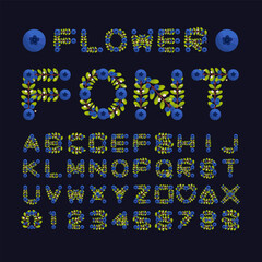 Isolated blueberry flower font alphabet character with number and symbol, Vector floral wreath ivy style with branch and leaves