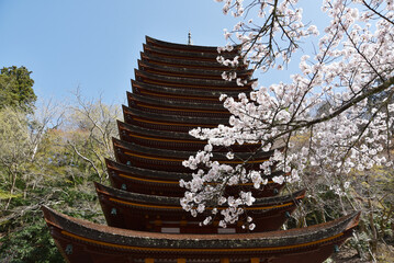 春の談山神社　十三重塔　奈良県桜井市多武峰