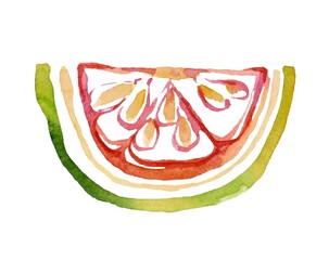 Handcrafted colorful outline illustration of a guava slice, showcasing its vibrant pink flesh, seeds, and green skin. Perfect for fresh fruit designs and culinary themes.