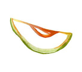 Handcrafted vibrant watercolor illustration of an avocado slice with detailed green hues and a rich brown seed. Perfect for healthy food designs, menus, or lifestyle projects.