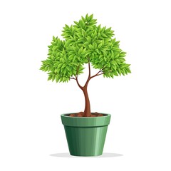 Obraz premium Tree in a pot on white background vector illustration