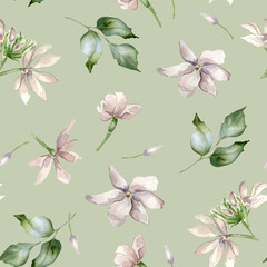 Watercolor of Jasmine, buds, leaves seamless pattern isolated. Botanical flowers in pastel colors hand drawn on repeated texture. Camellia background in pale pink for textile, package, wallpaper.