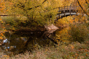 Yellow and red leaves on the trees. Autumn landscape. Nature in October