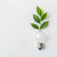 A light bulb with green leaves symbolizes sustainability and innovation, merging nature and technology for a brighter future.
