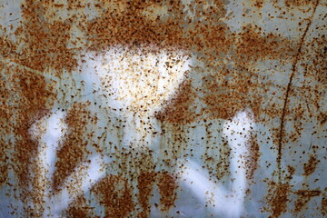 Old and rusty metal products.