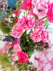 pink flowers
