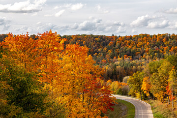 Beautiful colorful autumn view with visible road. Rest in autumn