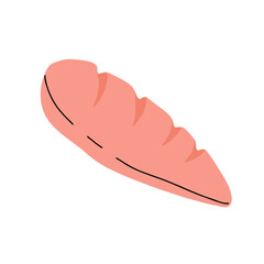 Fototapeta premium Chicken meat part set, parts of carcass, brisket wing, fillet, legs, heart, neck, feet, whole chicken. vector Illustrations on a white background