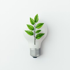 A light bulb with green leaves symbolizes eco-friendliness, representing a fusion of nature and innovation.