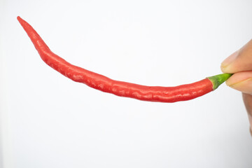 again holding red chilies on a white background