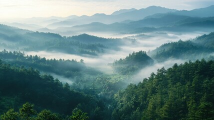 Obraz premium Scenic view of a foggy valley