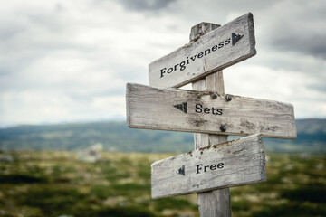 forgiveness sets free text quote written on wooden signpost at the crossroads outdoors in nature.