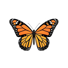 Fototapeta premium A monarch butterfly clipart, insect, detailed wing patterns, vibrant orange and black, isolated on white background