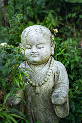 Fototapeta premium statue of buddha