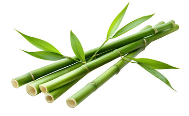 Fototapeta premium Fresh green bamboo stalks with leaves, isolated on transparent cutout background