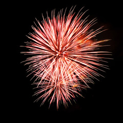 Colorful celebration fireworks isolated on black sky background.
