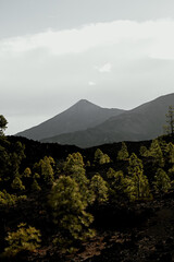 wulkan el teide © Weronika