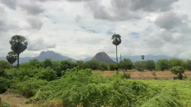 Landscape view of hills surrounded with green nature and coconut palm trees through a moving train. Protected nature concept.