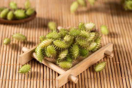 Chinese herb xanthium sibiricum on table.