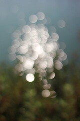 An abstract view of the bright sunlight shimmering in the surface of the water.