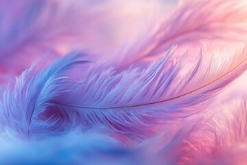 Obraz premium A close-up shot of a single feather against a pink background