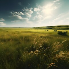 Green meadow landscape with blue sky.