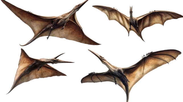 A Halloween-themed black silhouette of a bat resting on a white leaf, designed as a colorful vector illustration