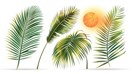 Obraz premium A collection of colorful tropical leaves arranged neatly on a white background