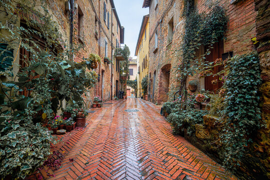 Fototapeta Charming Street in Pienza After the Rain