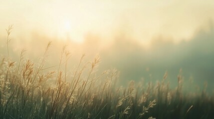 Transparent vignette background. Generative AI