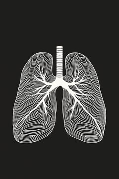 Intricate line art representation of human lungs showcasing respiratory anatomy on a dark background