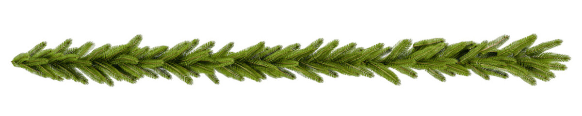 christmas garland pine branches isolated on white