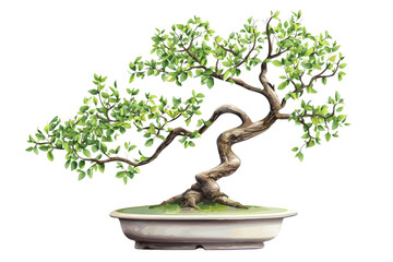 A beautiful, artistic bonsai tree with lush green leaves in a ceramic pot, showcasing nature's beauty and craftsmanship in miniaturized form.