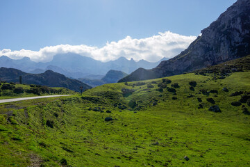 Covadonga Lakes, Picos de Europa- beautiful spot in Spain, Asturias