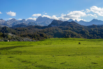 Covadonga Lakes, Picos de Europa- beautiful spot in Spain, Asturias