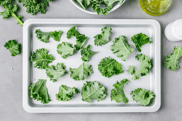 Curly Kale. Fresh raw chopped Curly Kale on baking tray on gray stone background, top view. Ready...