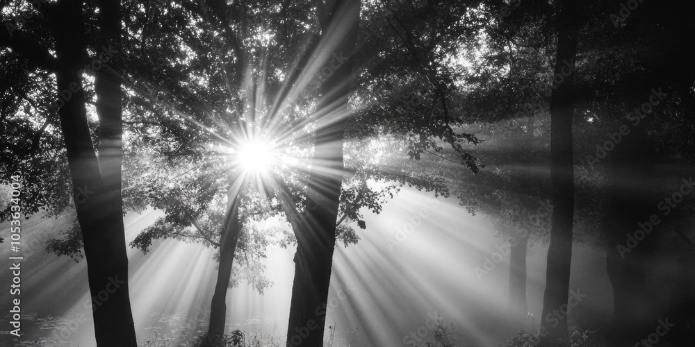 Poster a serene scene of sunlight filtering through tree branches