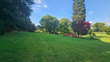 spring in the park