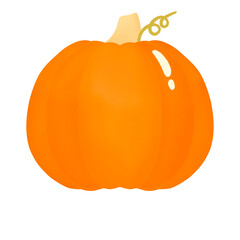 Cute Pumpkin 