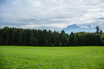 Obraz premium Green Field of Rows of Crops on a Cloudy Day in the Countryside
