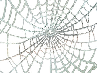 Obraz premium Close-up photo of dew-covered spiderweb, showing intricate structure with glistening water droplets. Highlights nature’s delicate and beautiful design.