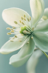 Obraz premium Close-Up of Green Flower Petals and Stamens